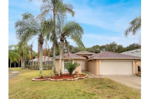 6606 LONG BAY LANE, TAMPA, FL 33615 Sold 07/03/24