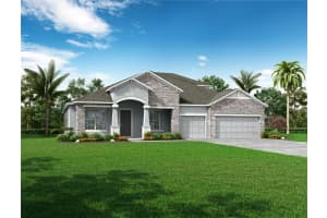 10054 DOLPHIN GULL CIRCLE, THONOTOSASSA, FL 33592 Sold 04/26/24