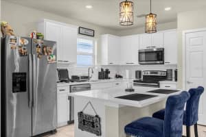 313 CITRUS ISLE LOOP, DAVENPORT, FL 33837 Sold 03/28/24