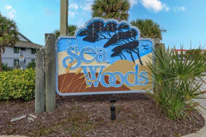 4317 SEA MIST DRIVE, NEW SMYRNA BEACH, FL 32169 Sold 03/18/24