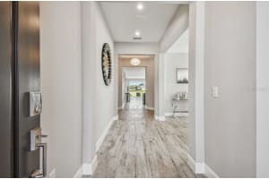 33581 CASTAWAY LOOP, WESLEY CHAPEL, FL 33543 Sold 03/26/24