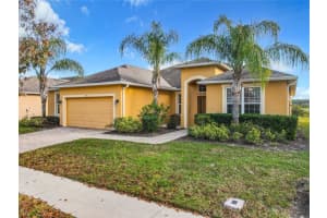 358 YELLOW SNAPDRAGON DR, DAVENPORT, FL 33837 Sold 03/20/24