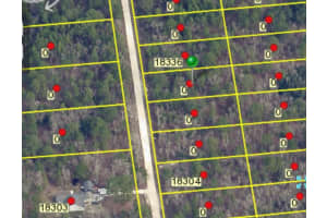 MACEK RD, WEEKI WACHEE, FL 34614 - MLS#MFRO6169398