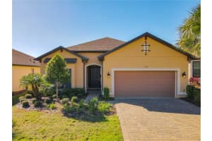 1335 ZEEK RIDGE STREET, CLERMONT, FL 34715 Sold 05/03/24