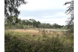 BELL BLVD, ORLANDO, FL 32810 - MLS#MFRO6171931