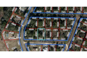 TBD 11TH STREET, WILLISTON, FL 32696 - MLS#MFRO6172963