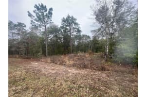 TBD 11TH STREET, WILLISTON, FL 32696 - MLS#MFRO6172963