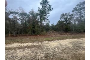 TBD 11TH STREET, WILLISTON, FL 32696 - MLS#MFRO6172963