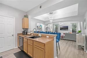 1101 VINTAGE VILLAGE LANE, OCOEE, FL 34761 Sold 03/29/24