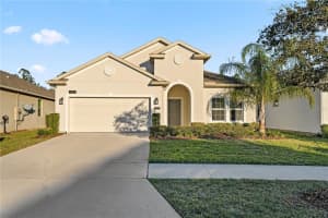 3382 SAGEBRUSH STREET, HARMONY, FL 34773 Sold 01/13/25