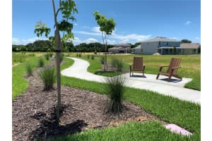 2515 CEDAR ROSE STREET, APOPKA, FL 32712 Sold 09/26/24