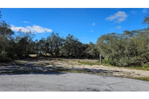 122 WARMOUTH LANE, POINCIANA, FL 34759 Sold 03/20/25