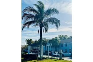 146 LEWFIELD CIRCLE, WINTER PARK, FL 32792 Sold 06/27/24