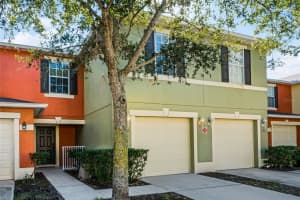 290 GLOWING PEACE LANE, ORLANDO, FL 32824 Sold 04/03/24