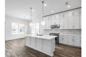 14090 LOCHEND WAY, WINTER GARDEN, FL 34787 Sold 11/12/24