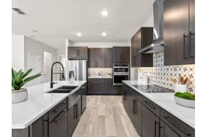 2924 WILD MULBERRY DRIVE, CLERMONT, FL 34711 Sold 10/28/24