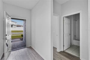 29587 CASPIAN STREET, LEESBURG, FL 34748 Sold 05/21/24