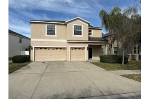20410 CAROLINA CHERRY COURT, TAMPA, FL 33647 Sold 03/21/24