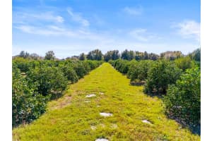 35538 FAIRVIEW HEIGHTS ROAD, ZEPHYRHILLS, FL 33541 - MLS#MFRO6178064