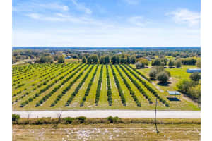 35538 FAIRVIEW HEIGHTS ROAD, ZEPHYRHILLS, FL 33541 - MLS#MFRO6178064