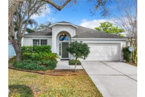 9817 PALMETTO DUNES COURT, ORLANDO, FL 32832 Sold 06/25/24