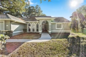 246 HARBOR COURT, WINTER GARDEN, FL 34787 Sold 08/20/24