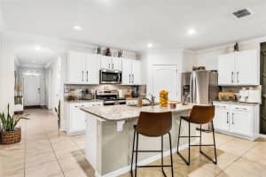 6786 CORAL BERRY DRIVE, MOUNT DORA, FL 32757 Sold 08/02/24
