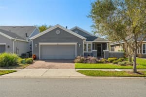 283 SILVER MAPLE ROAD, GROVELAND, FL 34736 Sold 05/29/25