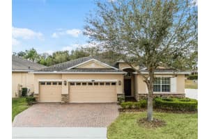 3513 WINDANSEA COURT, CLERMONT, FL 34711 Sold 04/05/24