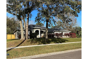 10009 COUNTRY CARRIAGE CIRCLE, RIVERVIEW, FL 33569 Sold 07/15/24