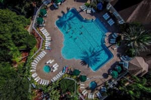 8178 FAN PALM WAY, KISSIMMEE, FL 34747 Sold 06/20/24