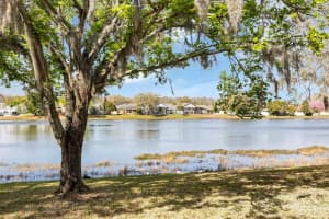 7740 HIDDEN CYPRESS DRIVE, ORLANDO, FL 32822 Sold 04/05/24