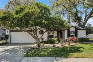 8485 ANSON WAY, WINTER PARK, FL 32792 Sold 03/28/24