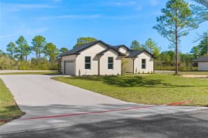 30309 APRICOT AVENUE, EUSTIS, FL 32736 Sold 03/31/25