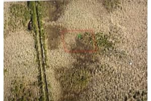 NA, DELAND, FL 32724 - MLS#MFRO6184159