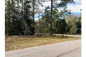 TBD 15TH STREET, WILLISTON, FL 32696 - MLS#MFRO6184312