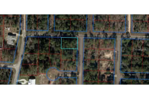 TBD 15TH STREET, WILLISTON, FL 32696 - MLS#MFRO6184312