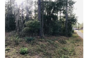 TBD 15TH STREET, WILLISTON, FL 32696 - MLS#MFRO6184312