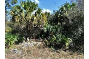 NORTON DR, NORTH PORT, FL 34288 - MLS#MFRO6184328