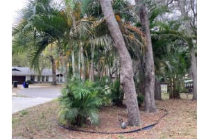 7303 ANSTEAD CIRCLE, ORLANDO, FL 32810 Sold 11/04/24