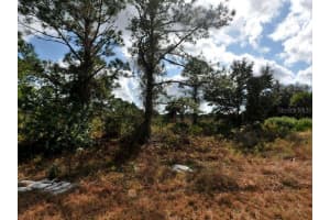 WINTERVILLE CIR, NORTH PORT, FL 34288 - MLS#MFRO6185098
