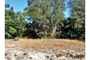 WORRELL LN, NORTH PORT, FL 34288 - MLS#MFRO6185104