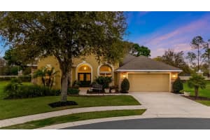 3037 PLYMOUTH ROCK CIRCLE, MOUNT DORA, FL 32757 Sold 02/28/25