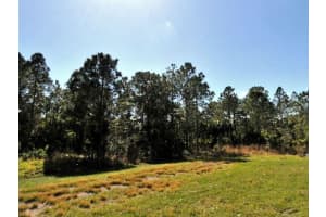 BROLLY ST, NORTH PORT, FL 34288 - MLS#MFRO6185766