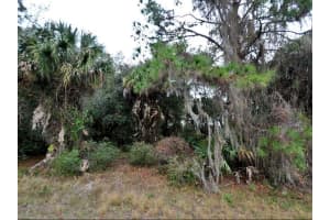 CONSTITUTION DR, NORTH PORT, FL 34291 - MLS#MFRO6185775