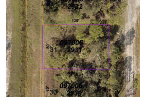 NORTON DR, NORTH PORT, FL 34288 - MLS#MFRO6185783