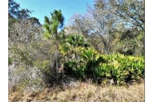 NORTON DR, NORTH PORT, FL 34288 - MLS#MFRO6185783