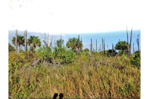 DEVONIA CIR, NORTH PORT, FL 34288 - MLS#MFRO6185814