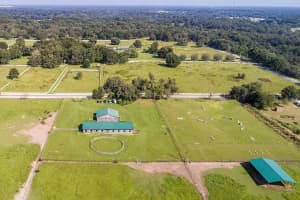 37600 LARGO LANE, DADE CITY, FL 33523 - MLS#MFRO6186155
