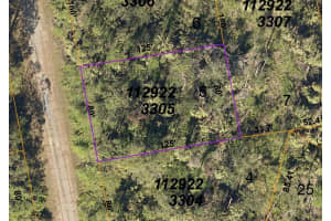 HAVEMEYER ST, NORTH PORT, FL 34288 - MLS#MFRO6186812